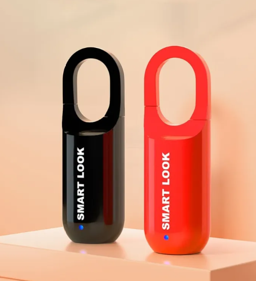Smart Fingerprint Lock