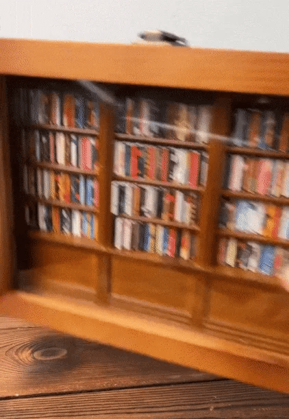 Anxiety Miniature Bookshelf for Your Office or Personal space